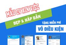 Tải CV xin việc file Word – Những mẫu CV đẹp, chuẩn download-mau-cv-xin-viec-chuan