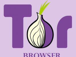 Download Tor Browser mới nhất – Trình Duyệt Web An Toàn