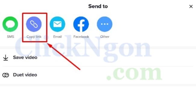 sao chép liên kết trên tiktok