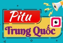 Tải App Pitu Trung Quốc mới nhất miễn phí về máy 2022 pitu trung quốc 2022