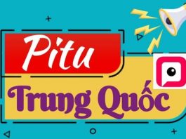 Tải App Pitu Trung Quốc mới nhất miễn phí về máy 2022 pitu trung quốc 2022