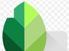 Tải App Snapseed cho iPhone, Android và máy tính PC snapseed