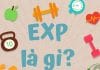 EXP là gì? Ý nghĩa EXP trong game, hóa học, toán học, sản phẩm exp là gì