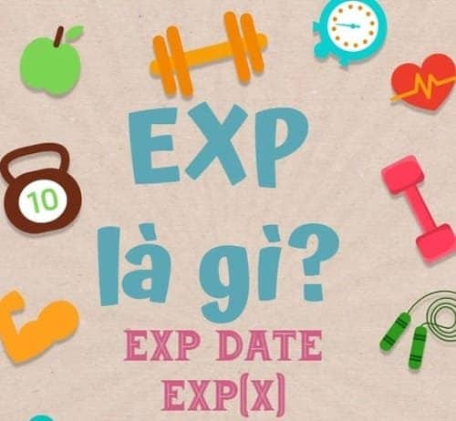 EXP là gì? Ý nghĩa EXP trong game, hóa học, toán học, sản phẩm exp là gì
