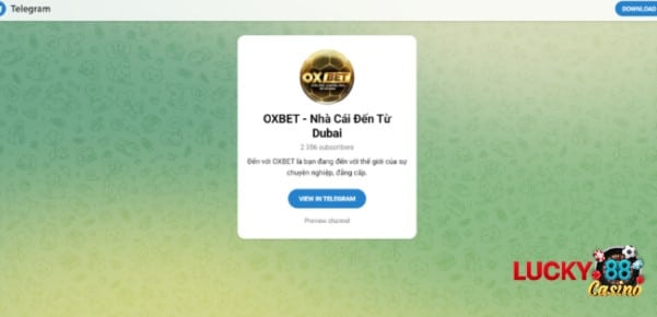 Telegram của nhà cái Oxbet